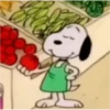 snoopy 15