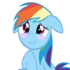Rainbow dash 18
