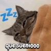 Gatos memes random🐈‍⬛🐱 14