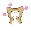 латте ♡ 18