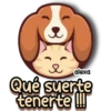 Amor de Amigos 😻💖🐶 19