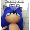 Meme Sonic Lucu 12