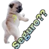 que dices 24