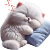 Gatos traviesos😹💞2🇵🇪Clásica 24