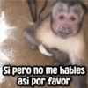 Memes con Frases #1🧠 14
