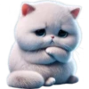 Gatos traviesos😹💞2🇵🇪Clásica 25