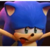 Meme Sonic Lucu 14