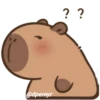 capibara 12