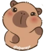capibara 13