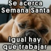 🐇 Meme Semana Santa 💜 14