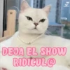 💞🐈MICHIS 😻✨ 29