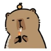 capibara 14