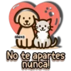 Amor de Amigos 😻💖🐶 23