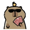 capibara 15