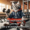 Funny Gym 💪🏼 20