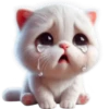Gatos traviesos😹💞2🇵🇪Clásica 30