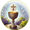 Mi primera comunión✝️💞1🇵🇪Clásica 6