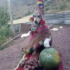 Más Animalitos!  🙊🐕 6