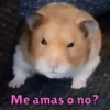 Me amas o no?
