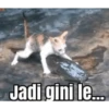 meme kucing 5