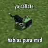Minecraft random 👾 7