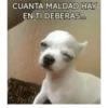 CUANTA MALDAD HAY
EN TI DEBERAS.