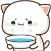 GATOS CUTE 2 8