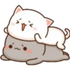 GATOS CUTE 2 9
