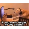 ndentorubius
A ver, como vergas
no voy a saber