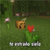 Minecraft random 👾 8