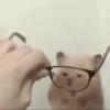 Más Animalitos!  🙊🐕 9