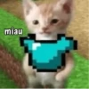 Minecraft random 👾 12