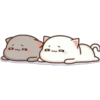 GATOS CUTE 2 10