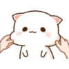 GATOS CUTE 2 11