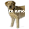te amo