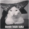 meme kucing 13