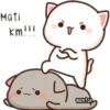 GATOS CUTE 2 12