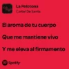 🫵🏼 Letras de canciones 🎶 10