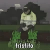 Minecraft random 👾 17
