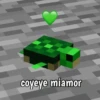 Minecraft random 👾 19
