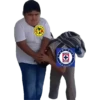 America vs cruz azul memes 🔥 8