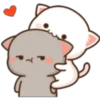 GATOS CUTE 2 13