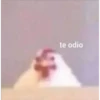 MEMES VARIADOS 9