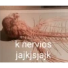 MEMES VARIADOS 10