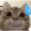 meme kucing 17