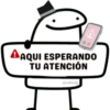 Flork Para Chat 🤪 16