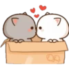 GATOS CUTE 2 16