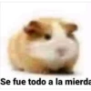 MEMES VARIADOS 14