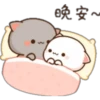 GATOS CUTE 2 18