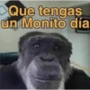 MEMES VARIADOS 15